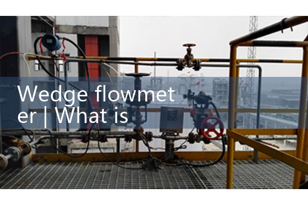 Wedge flowmeter